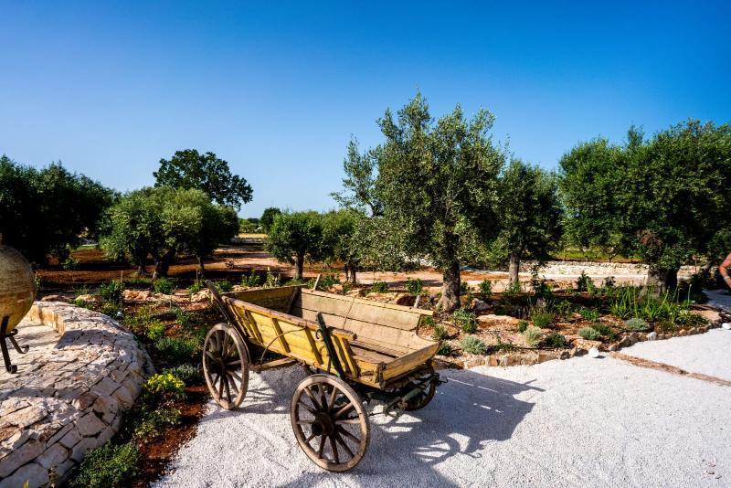 Trulli Ad Maiora Villa Alberobello Exterior photo